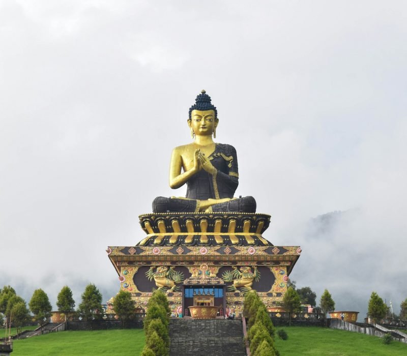 a large buddha statue sitting on top of a lush green hillside